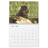 FishingCat008, Katze fischend Kalender (Mär 2027)