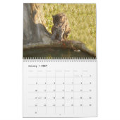 FishingCat008, Katze fischend Kalender (Jan 2027)