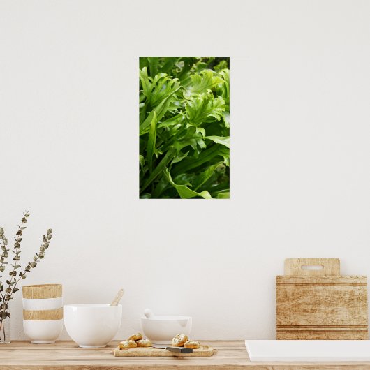 Fishtail Fern Poster (Küche)