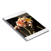 Fitna (Frankreich) Notizblock (Rechte Seite)