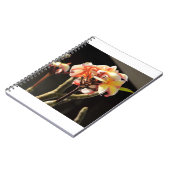 Fitna (Frankreich) Notizblock (Linke Seite)