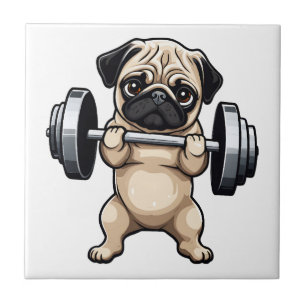 Fitness Mops Fliese