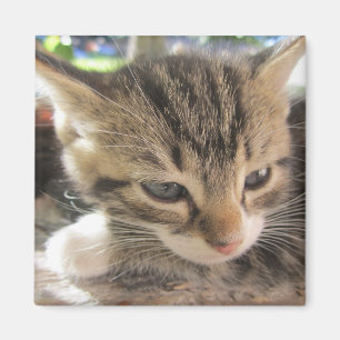 Fitsy das Hübsche One Magnet