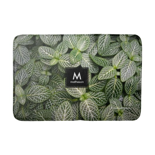 Fittonia Mosaik Pflanze mit verschiedenen Blätter Badematte (Vorderseite)