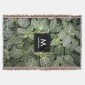 Fittonia Mosaik Pflanze mit verschiedenen Blätter Decke (Vorderseite)