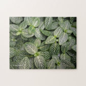 Fittonia Mosaik Pflanze mit verschiedenen Blätter Puzzle (Horizontal)