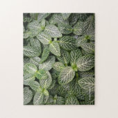 Fittonia Mosaik Pflanze mit verschiedenen Blätter Puzzle (Vertikal)