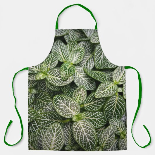 Fittonia Mosaik Pflanze mit verschiedenen Blätter Schürze (Vorderseite)