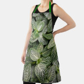 Fittonia Mosaik Pflanze mit verschiedenen Blätter Schürze (InSitu)