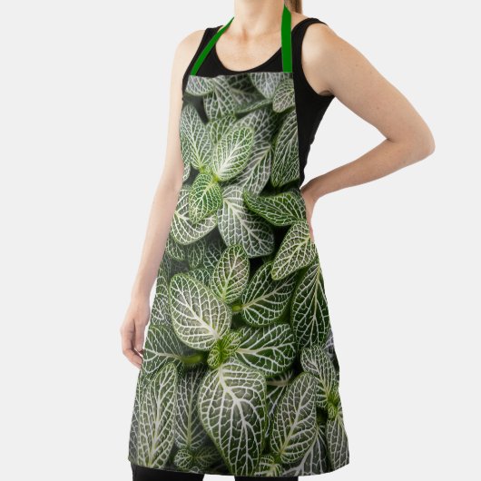 Fittonia Mosaik Pflanze mit verschiedenen Blätter Schürze (InSitu)