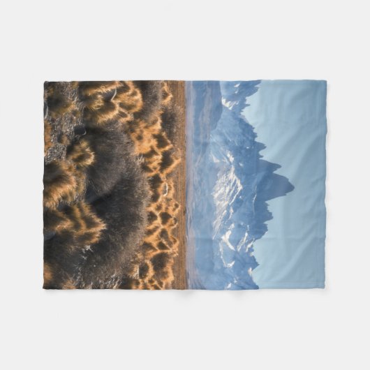 Fitz Roy, Patagonia, Argentinien Fleecedecke (Vorderseite (Horizontal))