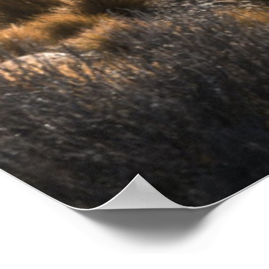 Fitz Roy Poster (Ecke)