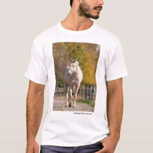 Fitzroy - NNEP Ottawa, AN T-Shirt
