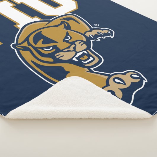 FIU-Paneele Sherpadecke (3/4)