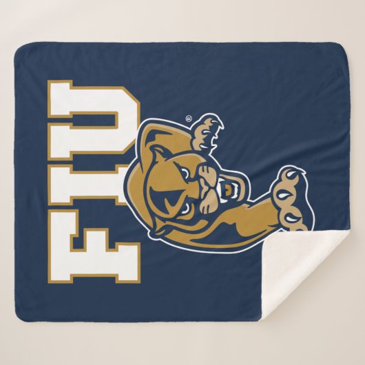 FIU-Paneele Sherpadecke (Vorderseite (Horizontal))