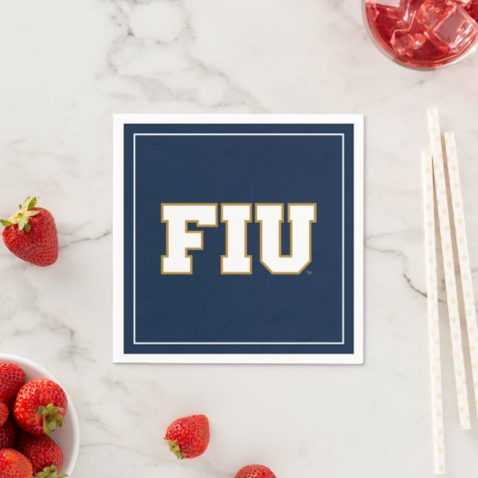 FIU SERVIETTE (Beispiel)