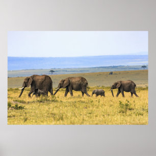 FIVE ELEPHANTS ON BROWN GRASS POSTER