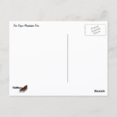 Five Finger Maidenhair Fern Postkarte (Rückseite)