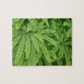 Five Finger Maidenhair Fern Puzzle (Horizontal)