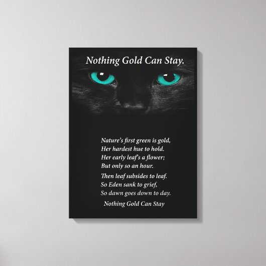 Fixe Augen Leinwanddruck (Vorderseite)