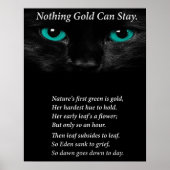 Fixe Augen Poster (Vorne)