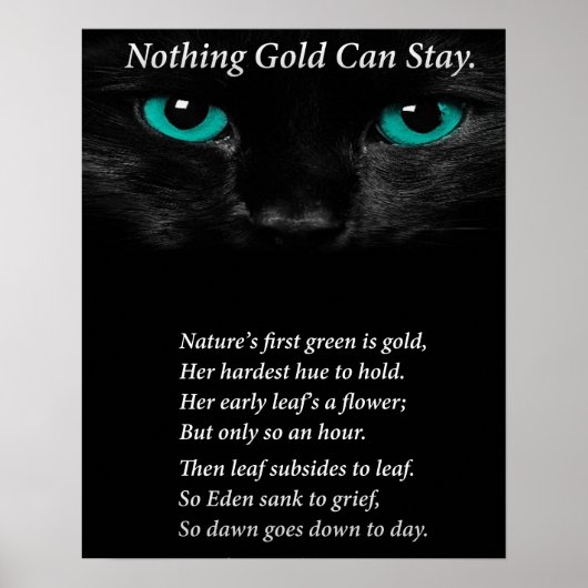 Fixe Augen Poster (Vorne)