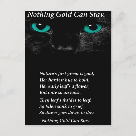 Fixe Augen Postkarte (Vorderseite)