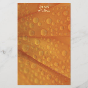 Fizzaorange Briefpapier