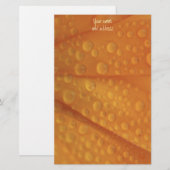 Fizzaorange Briefpapier (Vorne/Hinten)