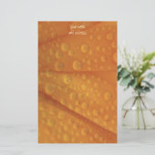 Fizzaorange Briefpapier (Stehend Vorderseite)