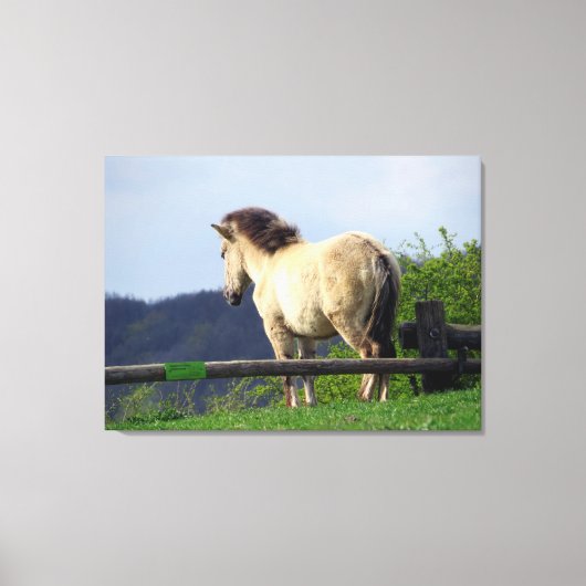 FJORD HORSE 2 LEINWANDDRUCK (Vorderseite)