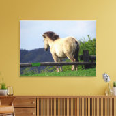 FJORD HORSE 2 LEINWANDDRUCK (Insitu (Wohnzimmer))
