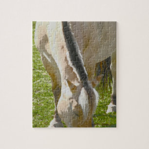 Fjord Horse Puzzle