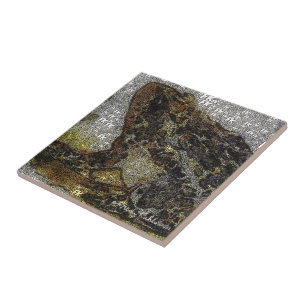 FK-Ähnliche Frosch-Malerei Frida Kahlos Fliese