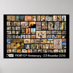 FKMP 10. Jahrestags-Plakat - wählen Sie Ihre Größe Poster
