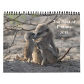 FKMP Meerkats 2013 Kalender (Titelbild)