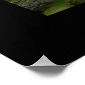 FL Hopper Poster (Ecke)