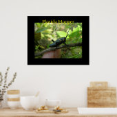 FL Hopper Poster (Küche)