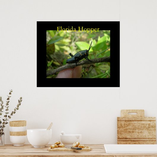 FL Hopper Poster (Küche)