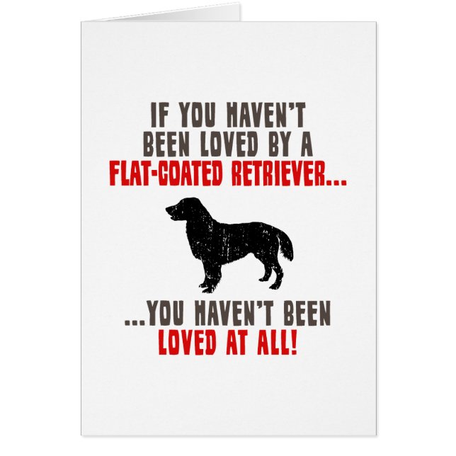 Flach-Überzogener Retriever (Vorne)
