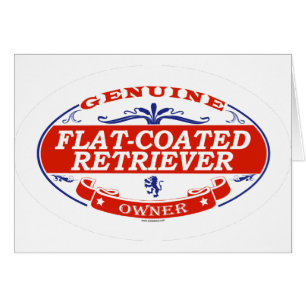 Flach-Überzogener Retriever