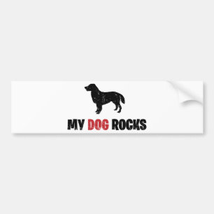 Flach-Überzogener Retriever Autoaufkleber