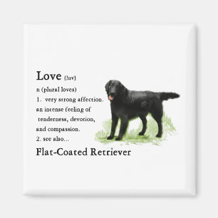 Flach-Überzogener Retriever-Kunst-Druck Magnet