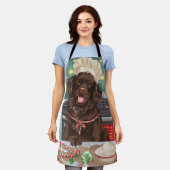 Flach überzogenes Retriever Holiday Baking: Weihna Schürze (Getragen)