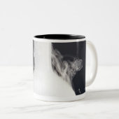 Flach-Unterseite Flasche Zweifarbige Tasse (VorderseiteRechts)