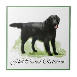 Flachbeschichtete Retriever Kunstgeschenke Fliese
