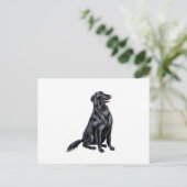 Flachbeschichteter Retriever (B) Postkarte (Stehend Vorderseite)