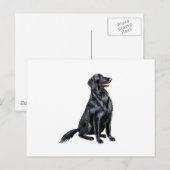 Flachbeschichteter Retriever (B) Postkarte (Vorne/Hinten)