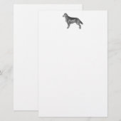 Flachbeschichteter Retriever Briefpapier (Vorne/Hinten)
