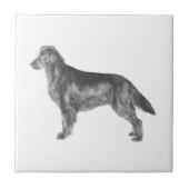 Flachbeschichteter Retriever Fliese (Vorderseite)